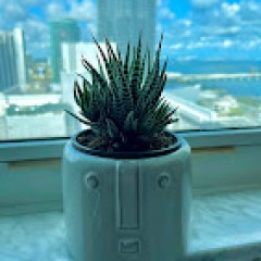 Seller Image